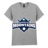 Adult t-shirt Heavy Cotton Thumbnail